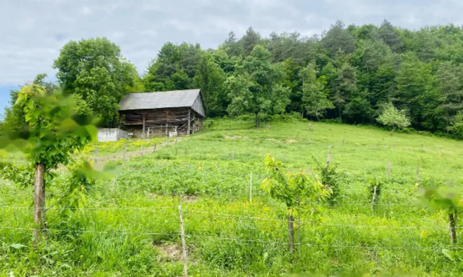 Недвижимость Усадьба, ферма Подсреда, Козье.: 20