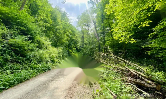 Недвижимость Усадьба, ферма Подсреда, Козье.: 21