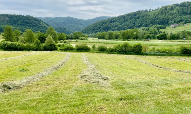 Недвижимость Усадьба, ферма Подсреда, Козье.: 22