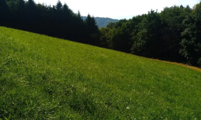 Недвижимость Усадьба, ферма Преша.: 2