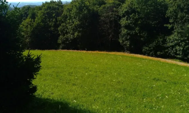 Недвижимость Усадьба, ферма Преша.: 3