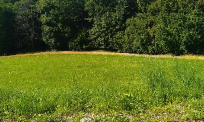 Недвижимость Усадьба, ферма Преша.: 4