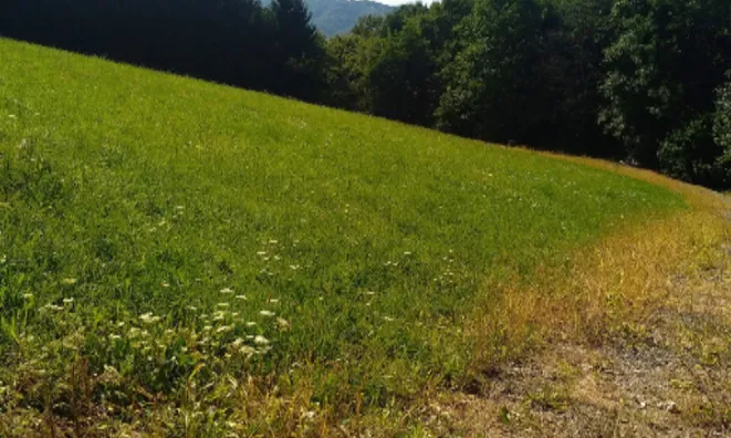 Недвижимость Усадьба, ферма Преша.: 5