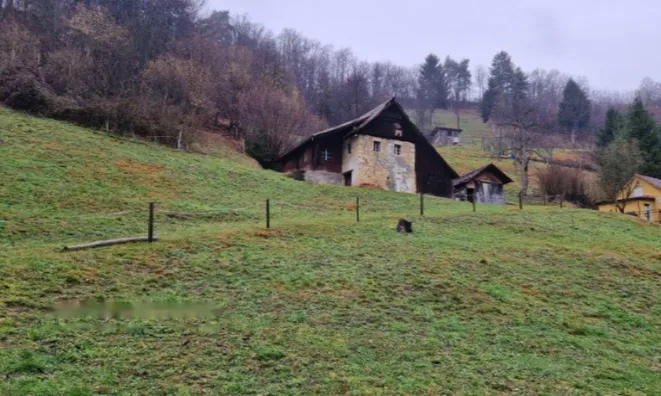 Недвижимость Имение, ферма Заложе.: 5