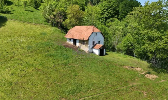 Недвижимость Усадьба Верхняя Лесковец, Велика Варница.: 5