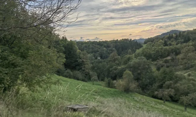 Недвижимость Владение, ферма Златече: 10