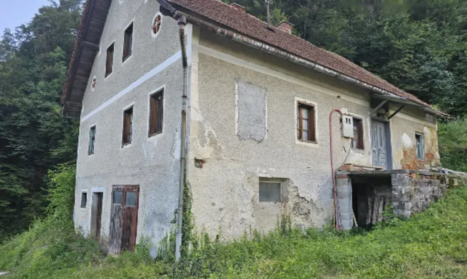 Недвижимость Усадьба, ферма Зрече.: 9