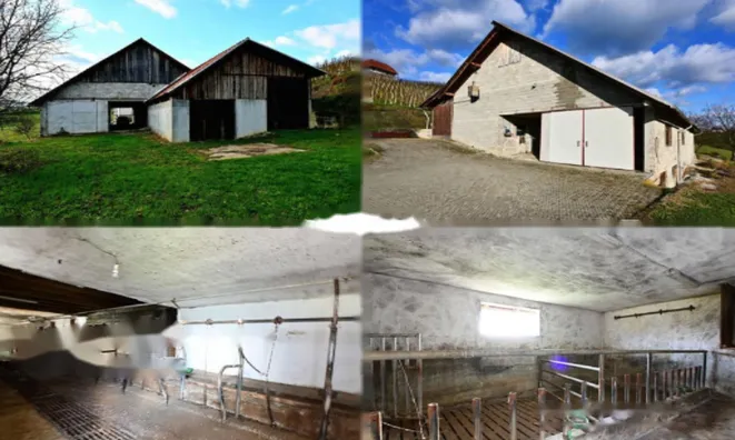 Недвижимость Поместье, ферма Села.: 12