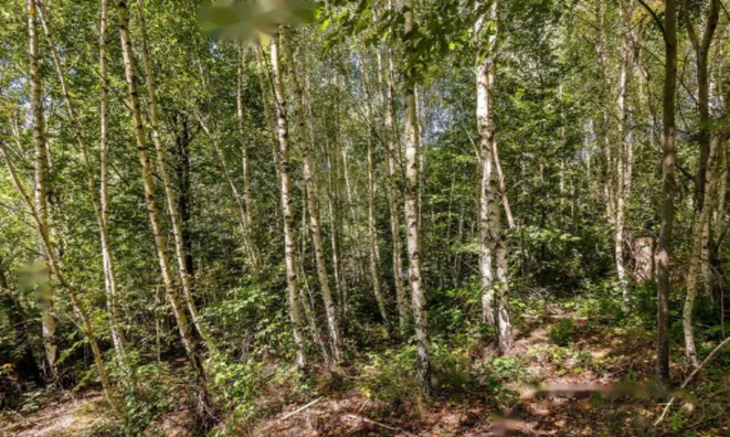 Недвижимость Усадьба, ферма Сеново, Доброва.: 22