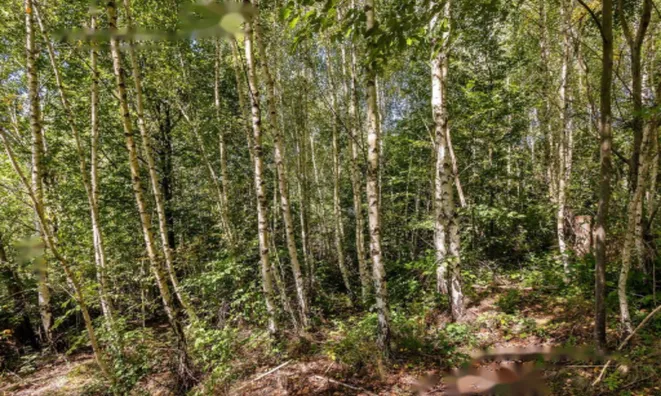 Недвижимость Усадьба, ферма Сеново, Доброва.: 26