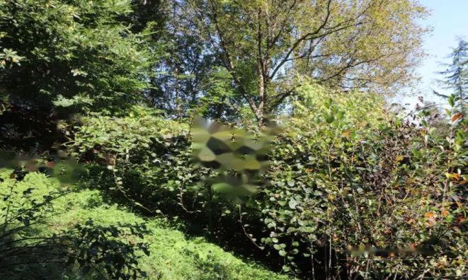 Недвижимость Усадьба Нижняя Воличина: 10