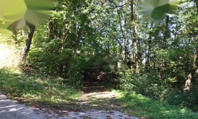 Недвижимость Усадьба Нижняя Воличина: 11