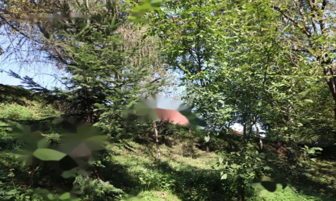 Недвижимость Усадьба Нижняя Воличина: 12