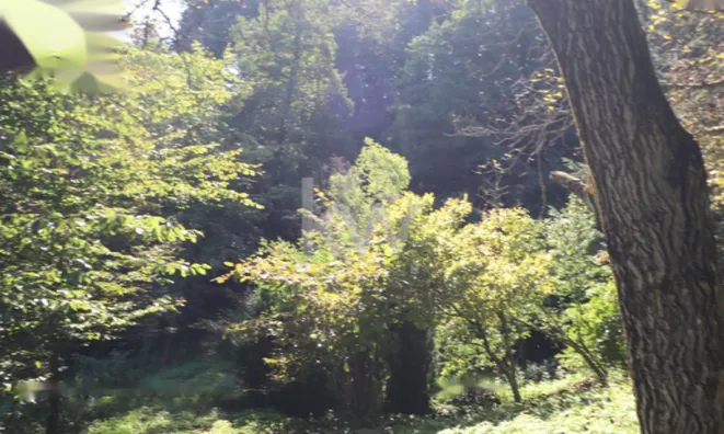 Недвижимость Усадьба Нижняя Воличина: 13