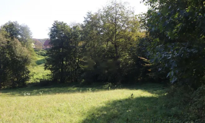 Недвижимость Усадьба Нижняя Воличина: 14