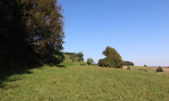 Недвижимость Усадьба Нижняя Воличина: 15