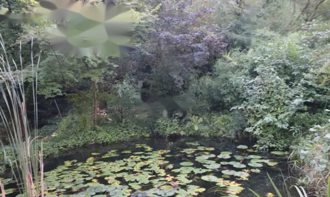 Недвижимость Усадьба Нижняя Воличина: 16