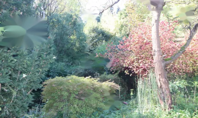 Недвижимость Усадьба Нижняя Воличина: 18