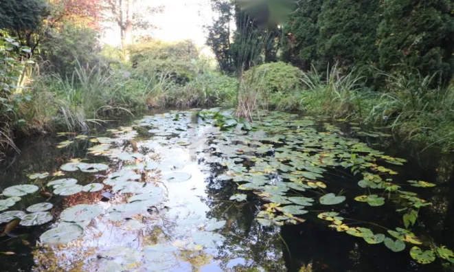 Недвижимость Усадьба Нижняя Воличина: 19