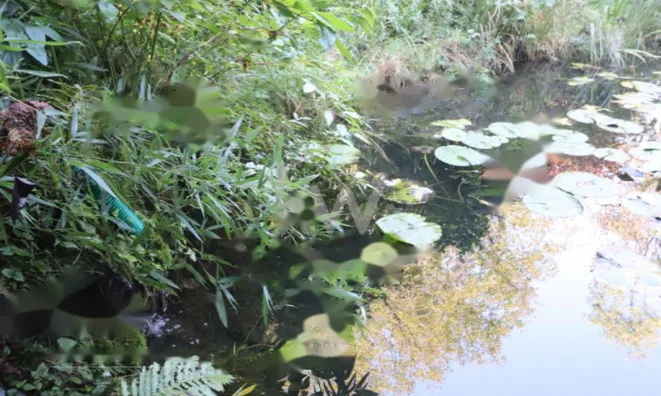 Недвижимость Усадьба Нижняя Воличина: 20