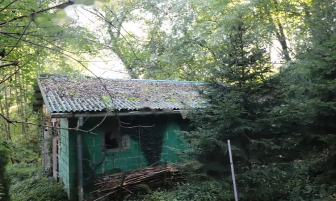 Недвижимость Усадьба Нижняя Воличина: 21