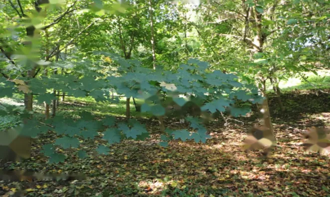 Недвижимость Усадьба Нижняя Воличина: 22