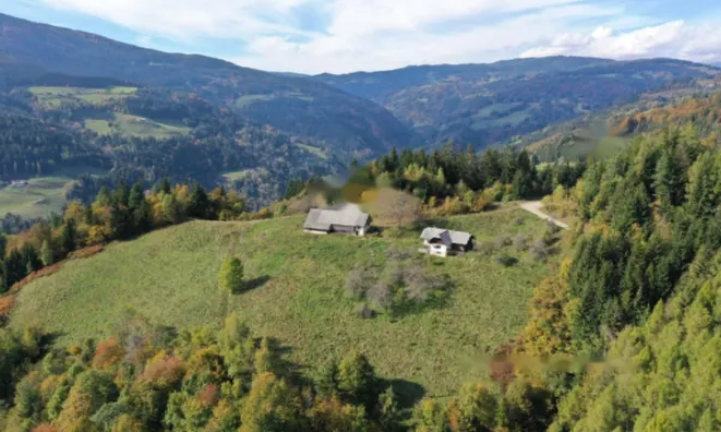 Недвижимость Усадьба, ферма святого Ермолая над Мутой.: 2