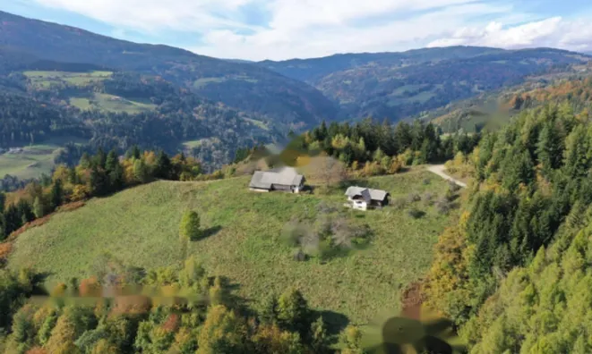 Недвижимость Поместье, ферма Святого Ернея над Мутой: 5