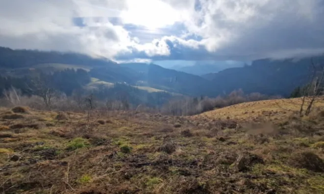 Недвижимость Поместье, ферма Святого Ернея над Мутой: 10