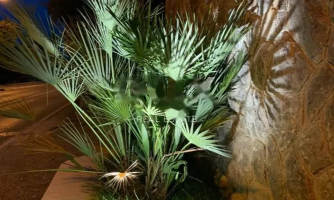 Недвижимость Дом в центре Опатии: 6