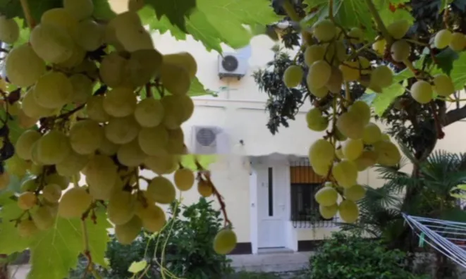 Недвижимость Трехкомнатная квартира Центр: 23