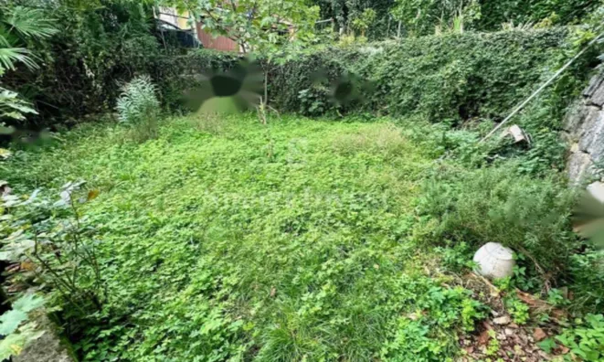 Недвижимость Трехкомнатная квартира Центр: 25