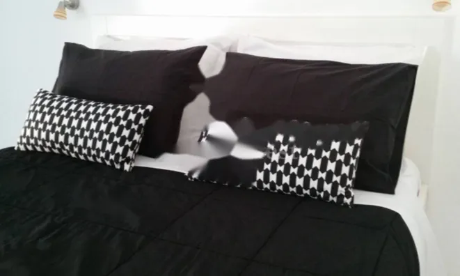 Недвижимость Трехкомнатная квартира в центре Опатии: 16