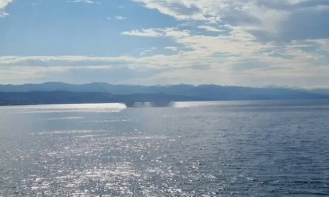 Недвижимость Двухкомнатная квартира в центре: 2