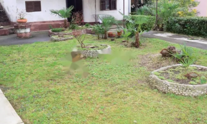 Недвижимость Трехкомнатная квартира, центр: 14