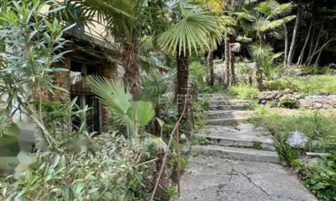 Недвижимость Трехкомнатная квартира Центральная Опатия: 29