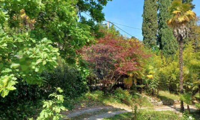 Недвижимость Квартира Опатия Центр: 8