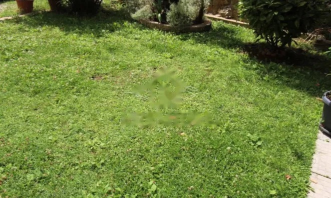 Недвижимость Трехкомнатная квартира в центре: 11