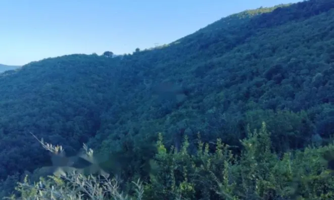 Недвижимость Семейный дом в Опатии: 15