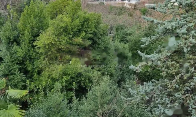 Недвижимость Двухкомнатная квартира в центре: 13