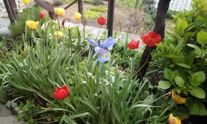 Недвижимость Многоквартирный дом Поляне: 15