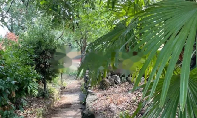 Недвижимость Многоквартирный дом в Опатии: 16