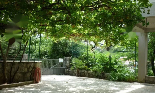 Недвижимость Семейный дом Ика, Опатия: 46