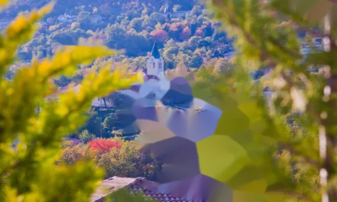 Недвижимость Семейный дом в Поляне: 111