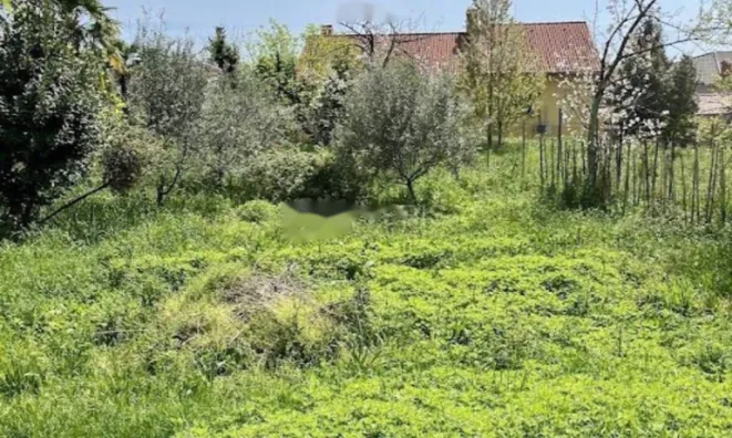 Недвижимость Семейный дом Ика, Опатия: 6