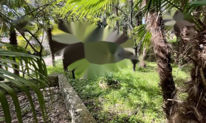 Недвижимость Семейный дом Ика, Опатия: 27