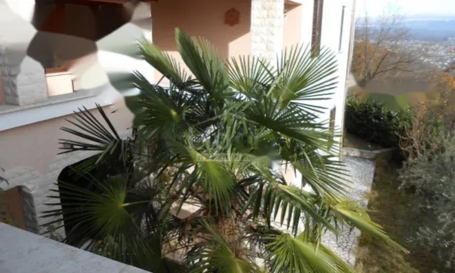 Недвижимость Семейный дом Вепринац, Опатия: 8