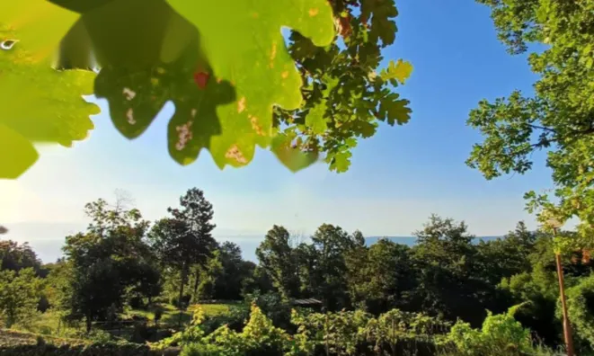 Недвижимость Семейный дом в центре Опатии: 30