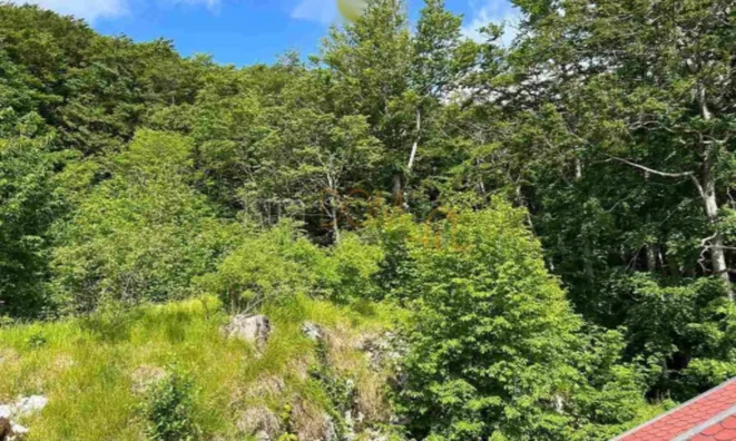 Недвижимость Семейный дом Вела Учка: 5