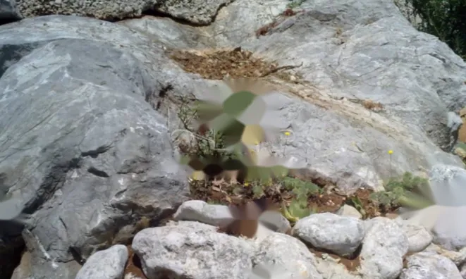 Недвижимость Дом в Ичичи, Опатия: 34